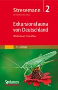 Cover: Stresemann - Exkursionsfauna von Deutschland, Band 2: Wirbellose: Insekten - Spektrum Akademischer Verlag