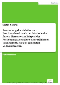 Abbildung von: Anwendung der nichtlinearen Bruchmechanik nach der Methode der finiten Elemente am Beispiel der Restlebensdaueranalyse einer stählernen Eisenbahnbrücke aus genieteten Vollwandträgern - diplom.de