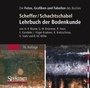 Cover: Lehrbuch der Bodenkunde - Die Abbildungen des Buches - Spektrum Akademischer Verlag