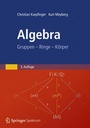 Cover: Algebra - Springer Spektrum