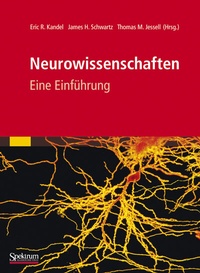 Abbildung von: Neurowissenschaften - Spektrum Akademischer Verlag
