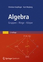 Cover: Algebra - Springer Spektrum