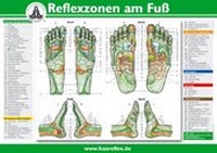 Abbildung von: Reflexzonen am Fuß (A4) - Karl F. Haug