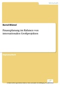 Cover: Finanzplanung im Rahmen von internationalen Gro&szlig;projekten - diplom.de