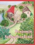 Cover: Benjamin Schwalbenkind - BoD - Books on Demand