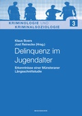 Cover: Delinquenz im Jugendalter - Waxmann