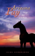 Cover: Arizona Pay - BoD - Books on Demand