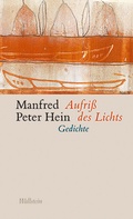 Cover: Aufri&szlig; des Lichts - Wallstein
