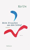 Cover: Beim Erwachen aus dem Schlaf - Wallstein