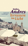 Cover: Terrassen im Licht - Wallstein