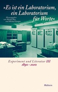 Cover: &raquo;Es ist ein Laboratorium, ein Laboratorium f&uuml;r Worte&laquo; - Wallstein