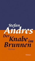 Cover: Der Knabe im Brunnen - Wallstein