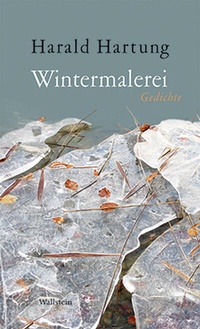 Enlarge image Cover: Wintermalerei - Wallstein