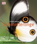 Cover: Schmetterlinge - DK Verlag Dorling Kindersley