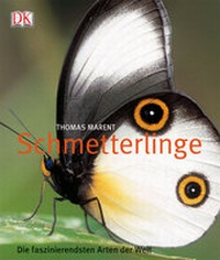 Enlarge image Cover: Schmetterlinge - DK Verlag Dorling Kindersley