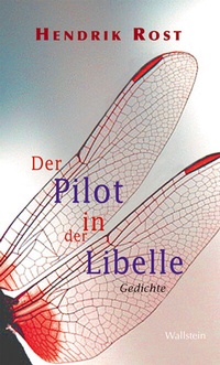 Bild: Der Pilot in der Libelle - Wallstein