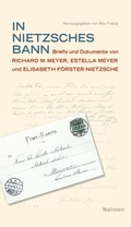 Cover: In Nietzsches Bann - Wallstein