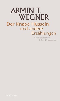 Bild vergrößern Bild: Der Knabe Hüssein und andere Erzählungen - Wallstein
