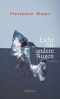 Cover: Licht f&uuml;r andere Augen - Wallstein