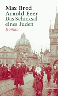 Cover: Arnold Beer. Das Schicksal eines Juden. Roman - Wallstein