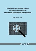 Bild: Coupled reaction-diffusion systems and evolving microstructure: mathematical modelling and homogenisation - Logos Berlin