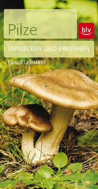 Enlarge image Cover: Pilze - BLV