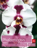 Cover: Phalaenopsis - BLV