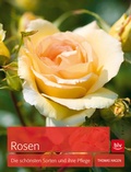 Cover: Rosen - BLV