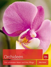 Enlarge image Cover: Orchideen - BLV