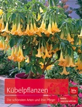 Cover: K&uuml;belpflanzen - BLV