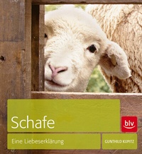 Abbildung von: Schafe - BLV