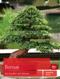 Cover: Bonsai - BLV
