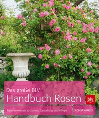 Enlarge image Cover: Das große BLV Handbuch Rosen - BLV