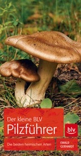 Cover: Der kleine BLV Pilzf&uuml;hrer - BLV