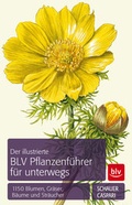 Cover: Der illustrierte BLV Pflanzenf&uuml;hrer f&uuml;r unterwegs - BLV