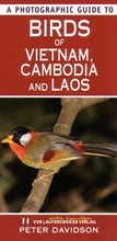Cover: V&ouml;gel in Vietnam, Kambodscha und Laos/Birds of Vietnam, Cambodia and Laos - VVB Laufersweiler Verlag