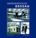 Cover: Geheimnisvolles Dessau - Wartberg