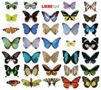 Enlarge image Cover: LIEBE 5 - Random House Audio