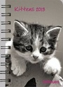 Cover: Kittens 2013 - Neumann Verlage GmbH & Co. KG