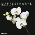 Cover: Mapplethorpe 2014 US - Neumann Verlage GmbH & Co. KG