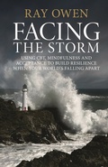 Cover: Facing the Storm - Routledge