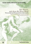 Cover: Der Besen, mit dem die Hexe fliegt - Psychosozial-Verlag