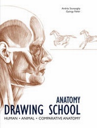 Abbildung von: Anatomy Drawing School - Konemann