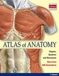 Cover: Atlas of Anatomy - Ullmann Publishing