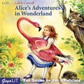 Cover: Alice`s Adventures in Wonderland - GOYALiT