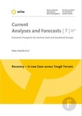 Cover: Recovery - in Low Gear across Tough Terrain - Wiener Institut f. Internationale Wirtschaftsvergleiche