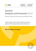 Cover: New Divide(s) in Europe? - Wiener Institut f. Internationale Wirtschaftsvergleiche