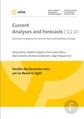 Cover: Double-dip Recession over, yet no Boom in Sight - Wiener Institut f. Internationale Wirtschaftsvergleiche
