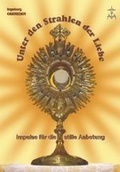 Cover: Unter den Strahlen der Liebe - Mediatrix