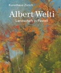 Cover: Albert Welti - Scheidegger & Spiess